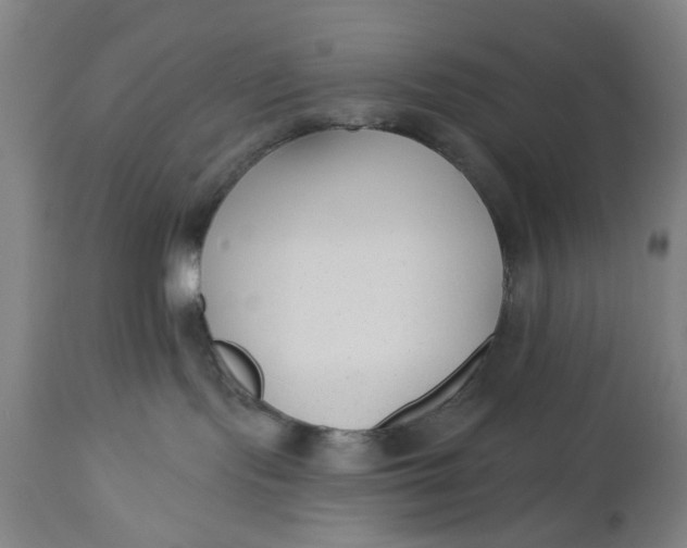 X0000112480095200909071208