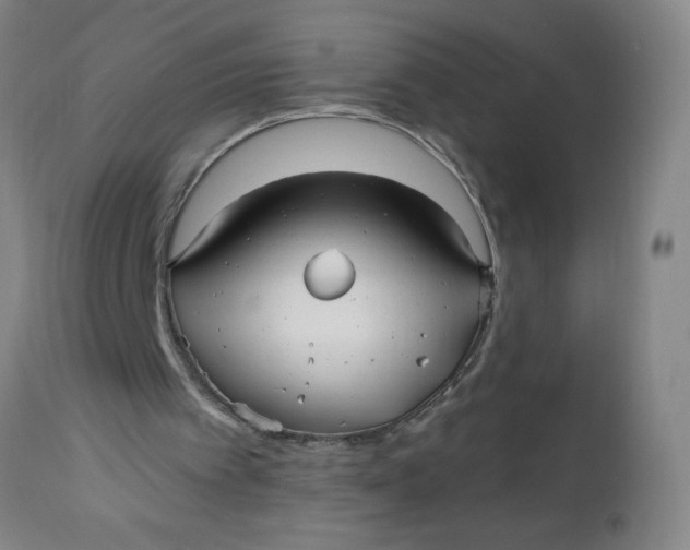 X0000112480097200909071207