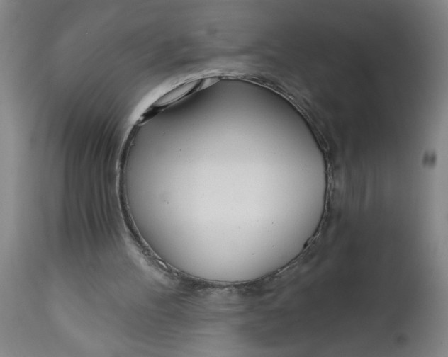 X0000112480100200909071207