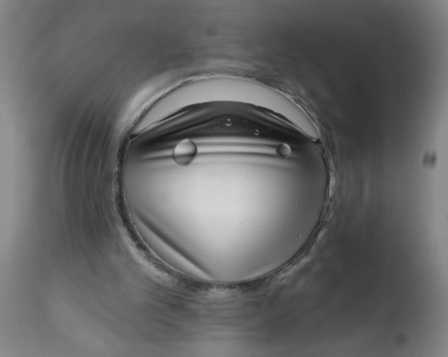 X0000112480101200909071207