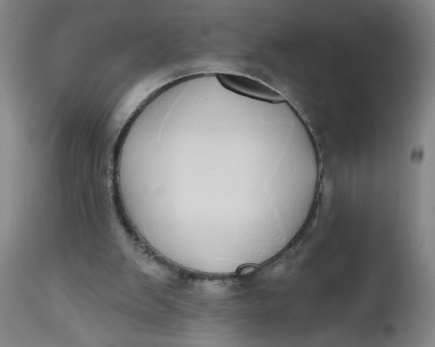 X0000112480103200909071207