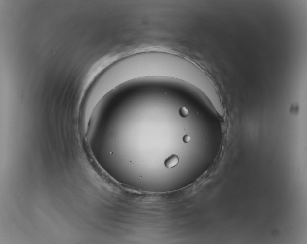 X0000112480104200909071207