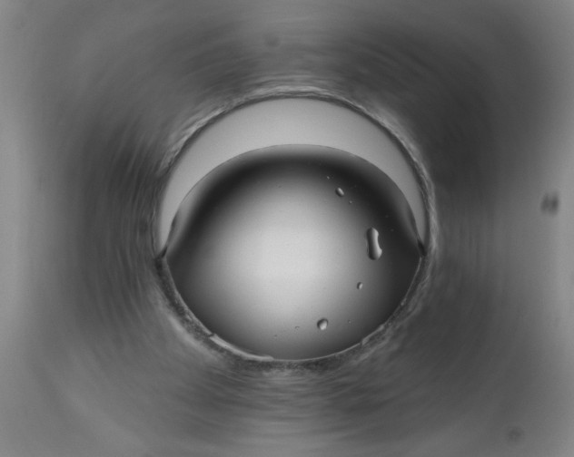 X0000112480105200909071207