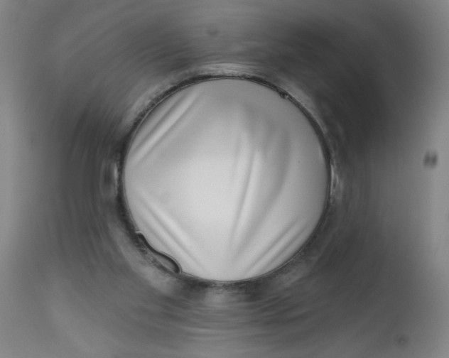 X0000112480109200909071207