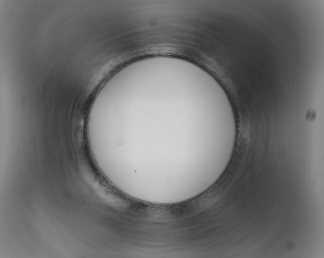 X0000112480110200909071207