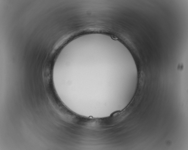 X0000112480116200909071207