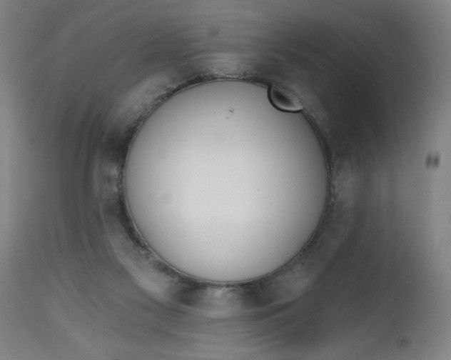 X0000112480117200909071207