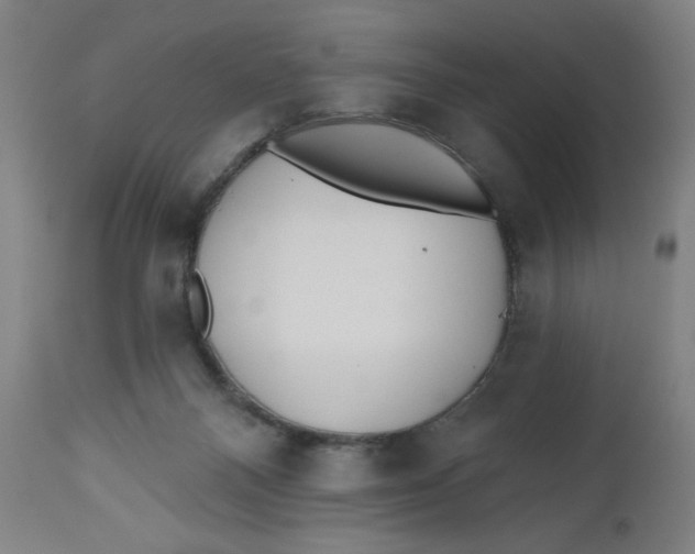 X0000112480120200909071207