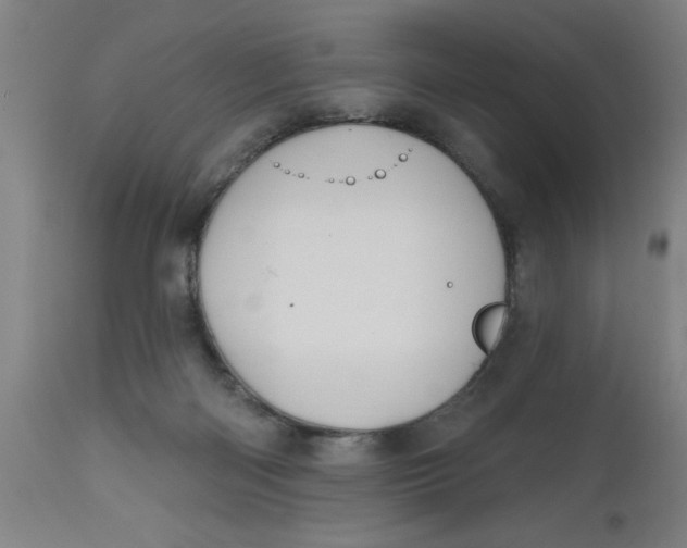 X0000112480122200909071207