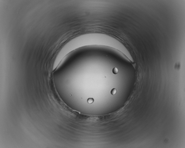 X0000112480124200909071207