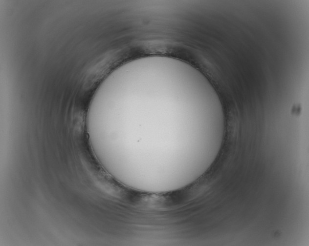 X0000112480125200909071207