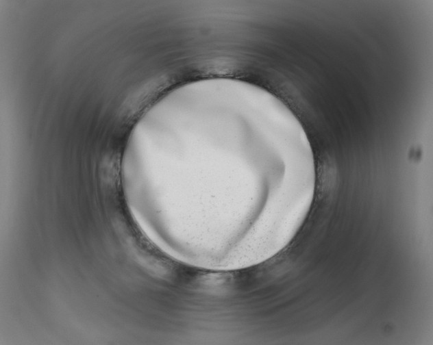 X0000112480126200909071207