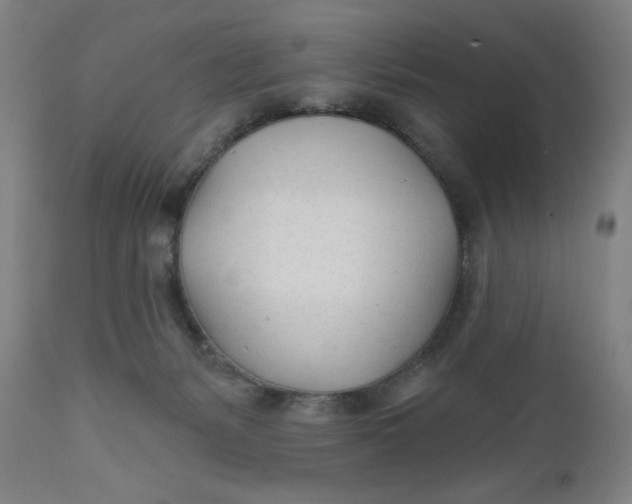 X0000112480127200909071207