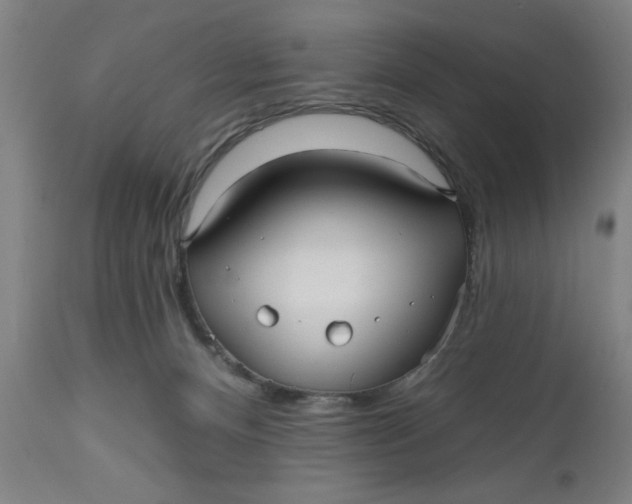 X0000112480128200909071207