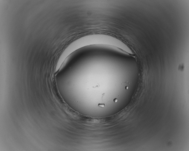 X0000112480129200909071207