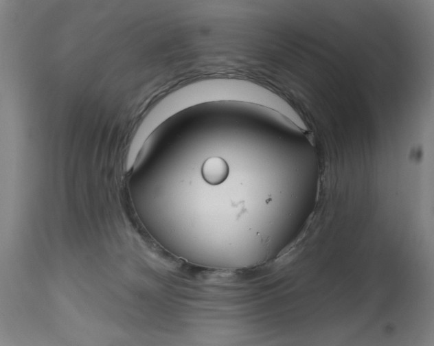 X0000112480132200909071207