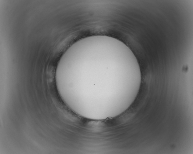 X0000112480133200909071207