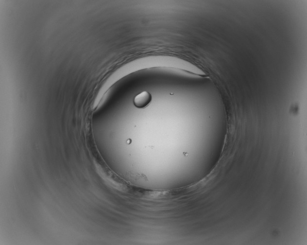 X0000112480136200909071207