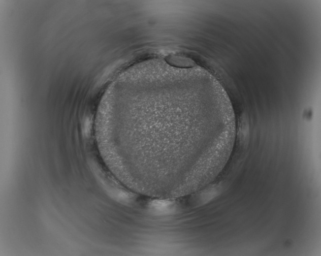 X0000112480139200909071207