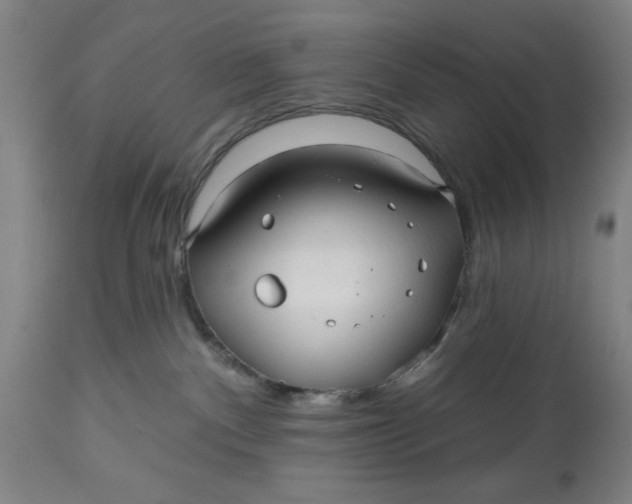 X0000112480140200909071207