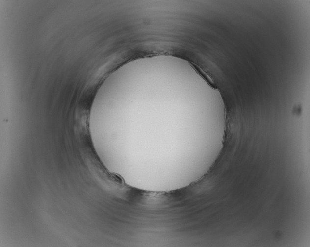 X0000112480141200909071207