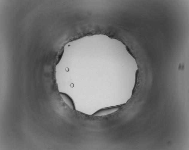 X0000112480144200909071206