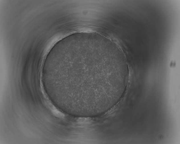 X0000112480145200909071206