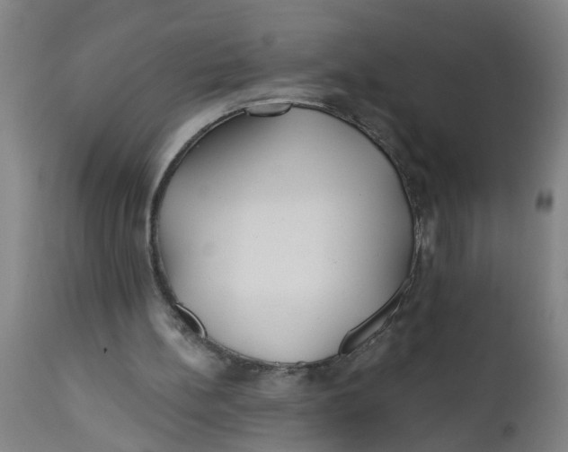 X0000112480148200909071206