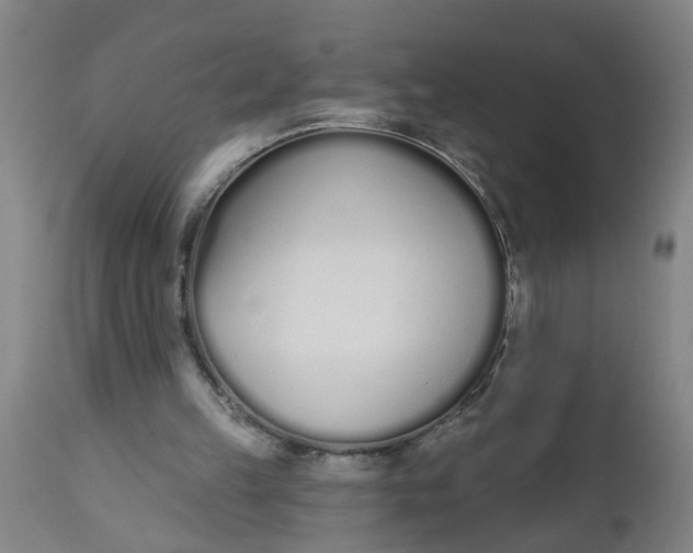 X0000112480149200909071206