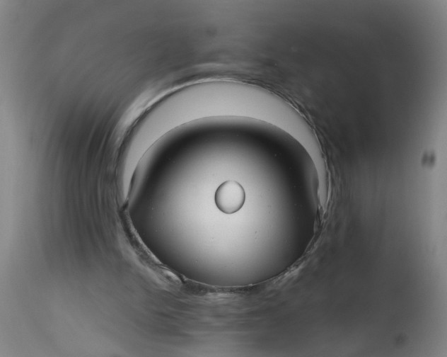 X0000112480150200909071206