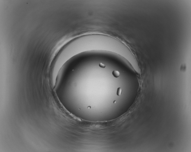 X0000112480152200909071206