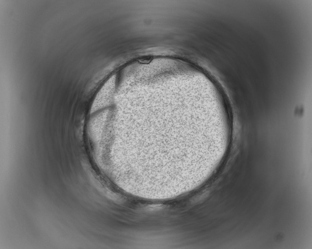 X0000112480153200909071206