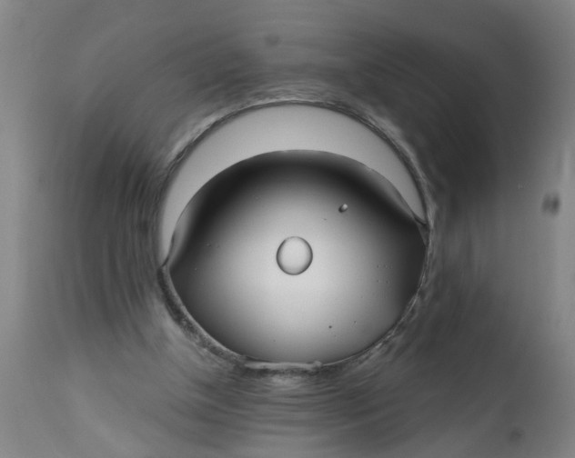 X0000112480154200909071206