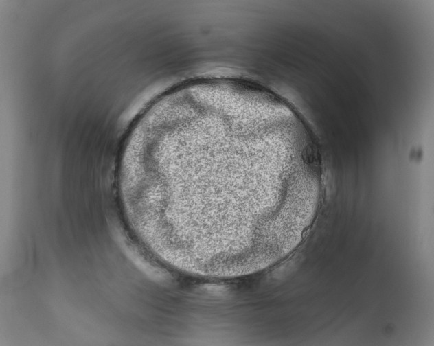 X0000112480159200909071206