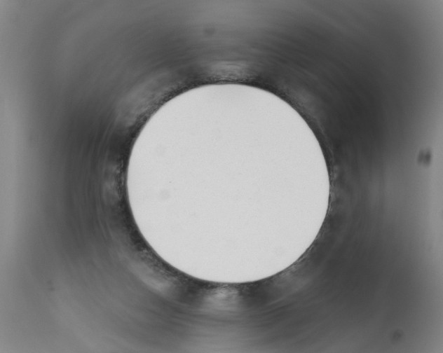 X0000112480162200909071206