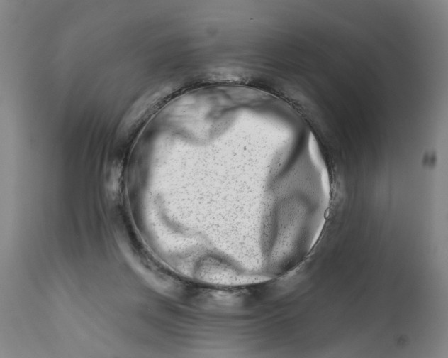 X0000112480166200909071206