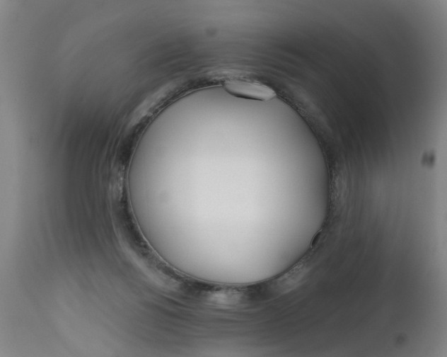 X0000112480168200909071206