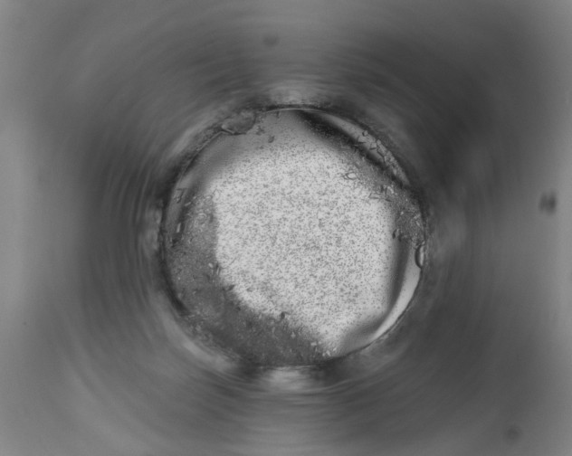 X0000112480171200909071206