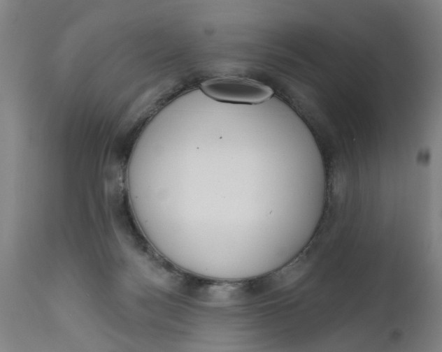 X0000112480172200909071206