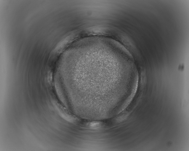 X0000112480173200909071206