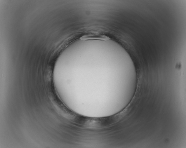 X0000112480174200909071206