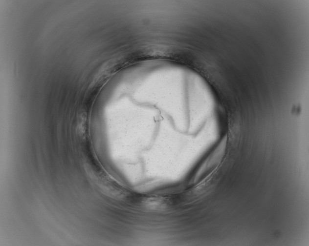 X0000112480175200909071206