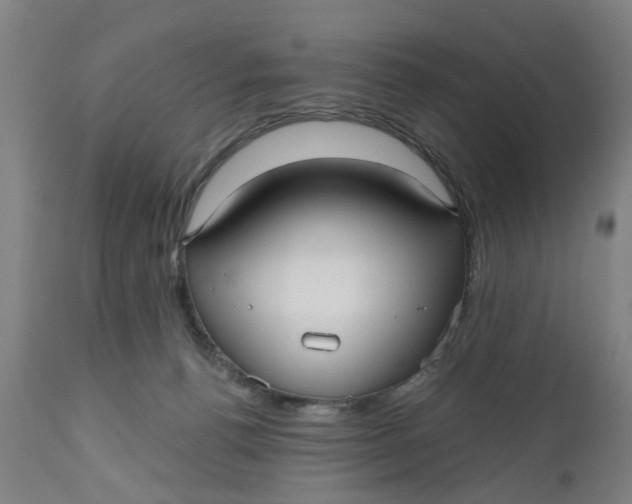 X0000112480176200909071206