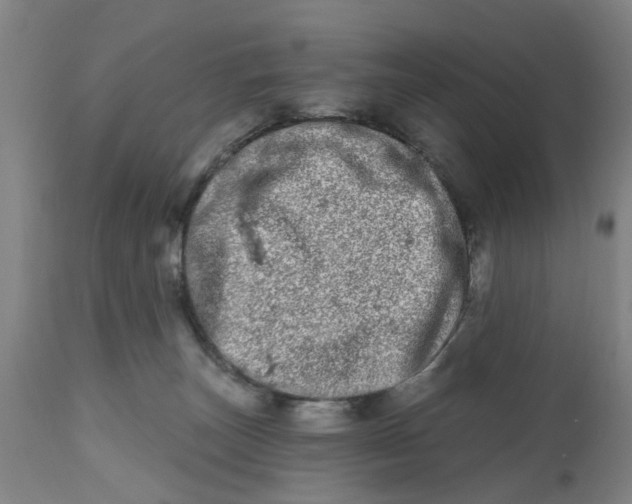 X0000112480179200909071206