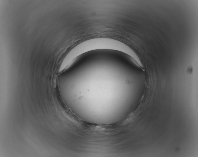 X0000112480180200909071206