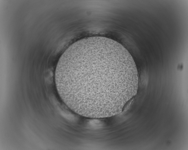 X0000112480183200909071206