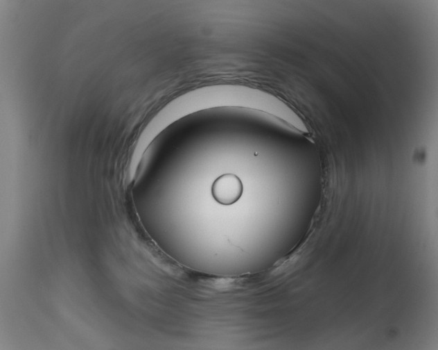 X0000112480184200909071206