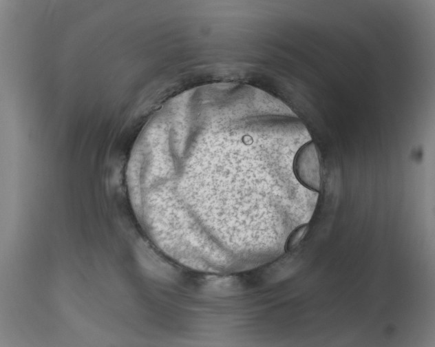 X0000112480185200909071206