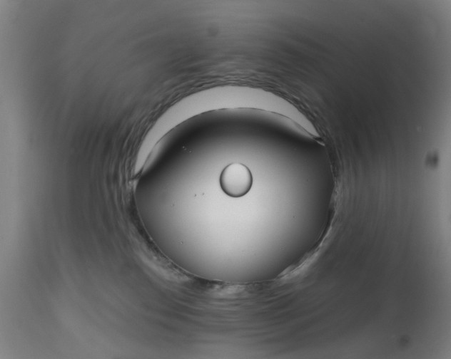 X0000112480186200909071206