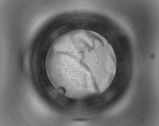 X0000112480189200909071206